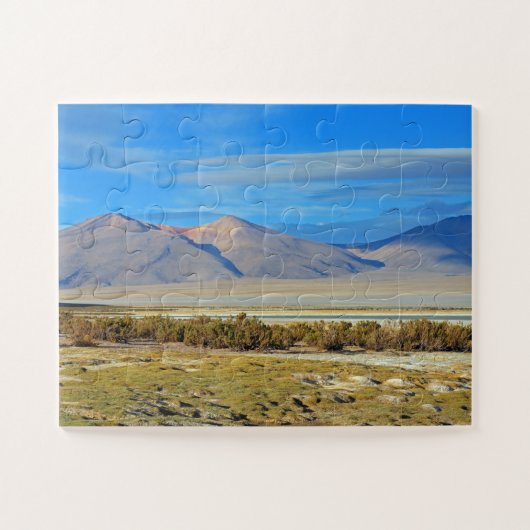 Salar del Huasco, 30-pc Legpuzzel (Horizontaal)