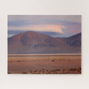 Salar del Huasco, Chili 520-pc Legpuzzel