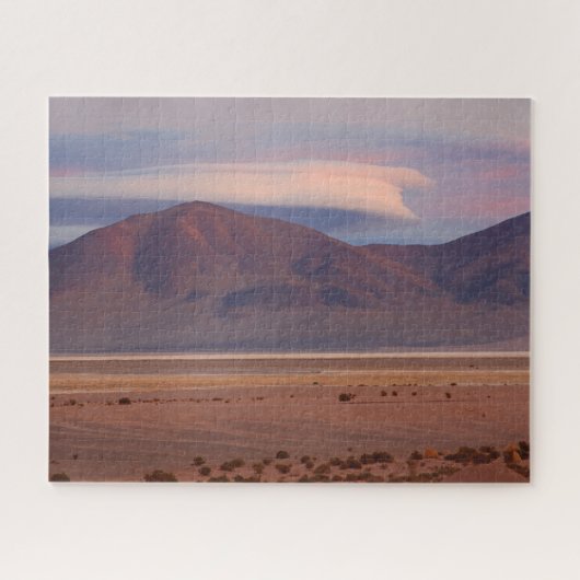 Salar del Huasco, Chili 520-pc Legpuzzel (Horizontaal)