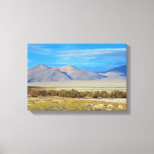 Salar del Huasco, Chili Canvas Afdruk (Voorkant)