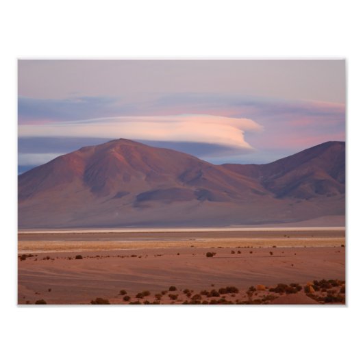 Salar del Huasco, Chili Foto Afdruk (Voorkant)