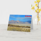 Salar del Huasco, Chili Kaart (Gele Bloem)