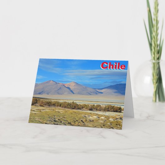 Salar del Huasco, Chili Kaart (Voorkant)