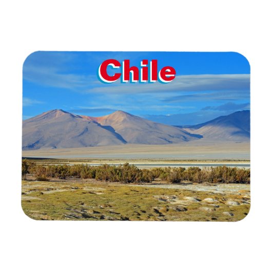 Salar del Huasco, Chili Magneet (Horizontaal)
