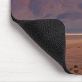 Salar del Huasco, Chili Muismat (Hoek)