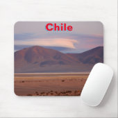 Salar del Huasco, Chili Muismat (Met muis)