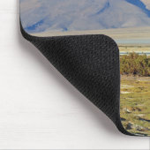 Salar del Huasco, Chili Muismat (Hoek)