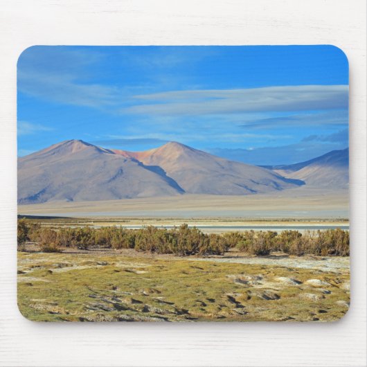 Salar del Huasco, Chili Muismat (Voorkant)