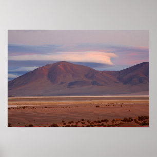 Salar del Huasco, Chili Poster