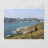 Salcombe Estuary, Devon Briefkaart (Voorkant)