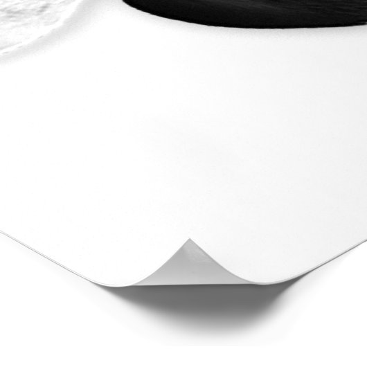 Saldo B & BB Poster (Hoek)