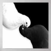 Saldo B & BB Poster (Voorkant)