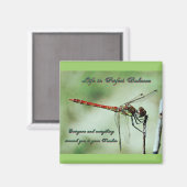 Saldo met Natuur Magneet (Voorkant / Achterkant)