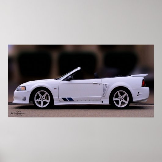 SALEEN MUSTANG POSTER (Voorkant)