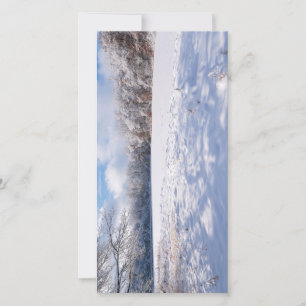 Salem Hills vijver en bos winterlandschap