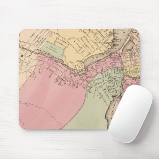 Salem Muismat (Met muis)