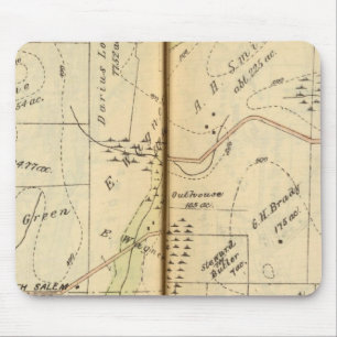 Salem, New York 2 Muismat