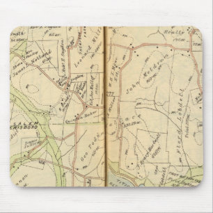 Salem, New York Muismat