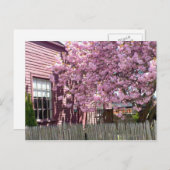 Salem Pink Blossom Briefkaart (Voorkant / Achterkant)