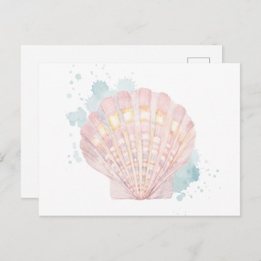 Salento Coast Shell Briefkaart (Voorkant / Achterkant)