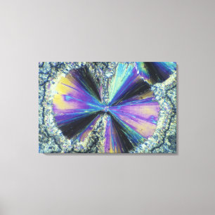 Salicylzuurkristallen, in gepolariseerd licht beke canvas afdruk