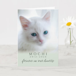 Salie Groen Voor Altijd In Onze Harten Kat Herdenk Kaart