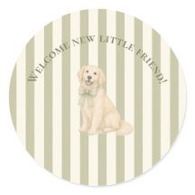 Salie Groene Golden Retriever Baby Borrel