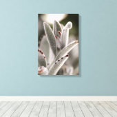 Salie groene succulent met bruine tips canvas afdruk (Insitu (Houten vloer))