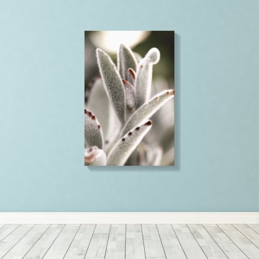 Salie groene succulent met bruine tips canvas afdruk (Insitu (Houten vloer))