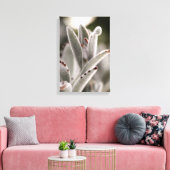 Salie groene succulent met bruine tips canvas afdruk (Insitu (Woonkamer))