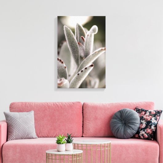 Salie groene succulent met bruine tips canvas afdruk (Insitu (Woonkamer))