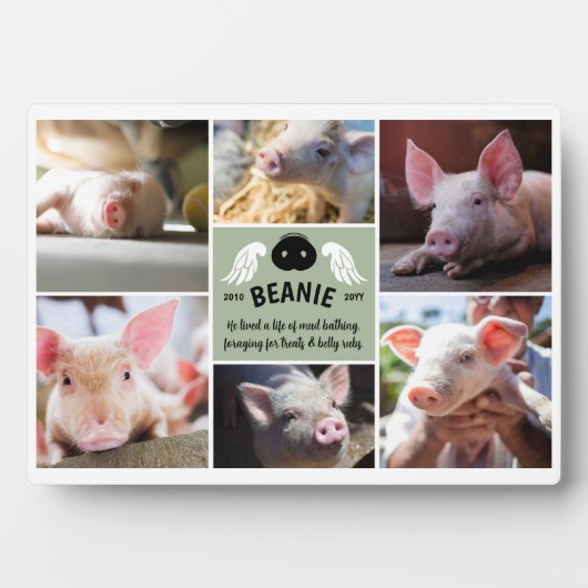 Salie Groene Vleugels Varkenssnuit Herdenkingsfoto Fotoplaat (voorkant)