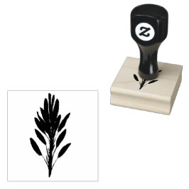 Salie Kruid Botanische Tuin Bloemen Waterverf Rubberstempel