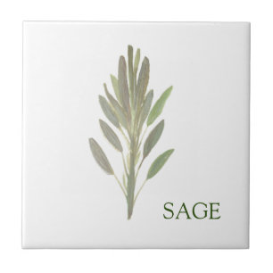 Salie Kruid Groen Keuken Culinair Groen Plant Tegeltje