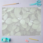 Salie tissuepapier, decoupage, botanisch groen tissuepapier (Craft)