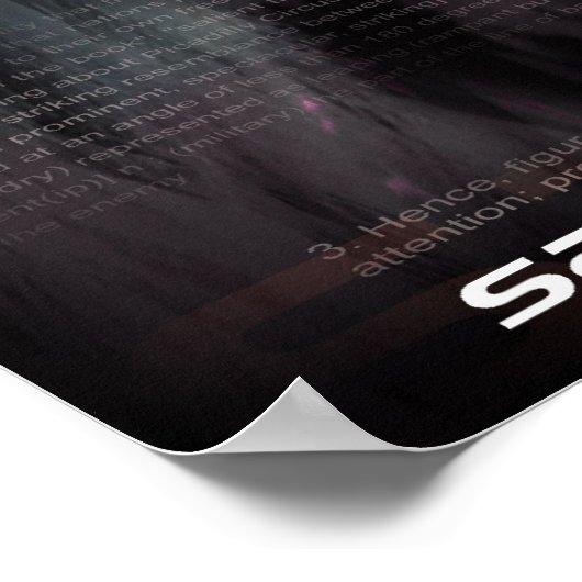 salient poster (Hoek)