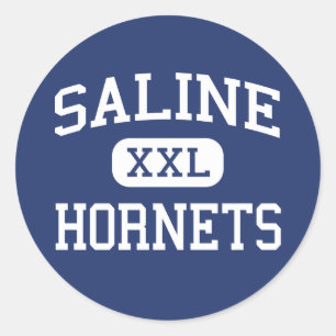 Saline Hornets Middelbare School Saline Michigan Ronde Sticker