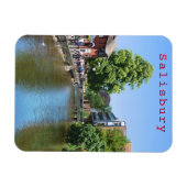 Salisbury # 8 magneet (Horizontaal)