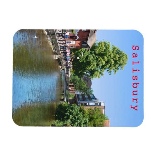 Salisbury # 8 magneet (Horizontaal)