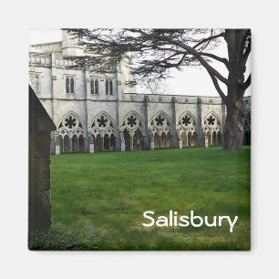 Salisbury Magneet