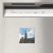 Salisbury Magneet (Insitu (Vaatwasser))