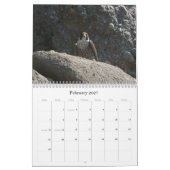 Salish Zee Wildlife 2012 Kalender (Feb 2027)