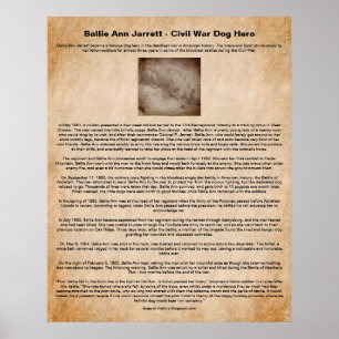 Sallie Ann Jarrett, Burgeroorlog Dog Hero Poster