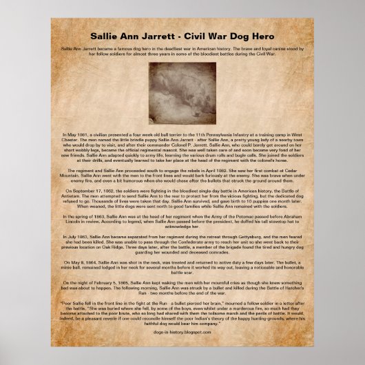 Sallie Ann Jarrett, Burgeroorlog Dog Hero Poster (Voorkant)