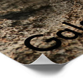 Sally Lightfoot Crab Poster (Hoek)