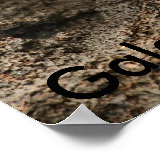 Sally Lightfoot Crab Poster (Hoek)