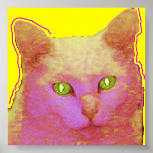 Sally Poster (Voorkant)