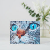Sally the Blue Eyed Cat Briefkaart (Staand voorkant)