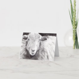 Sally the Sheep (a362) Kaart