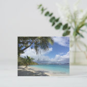 Salmon Beach, Palms, Maagdeneilanden Nationaal Par Briefkaart (Staand voorkant)